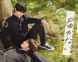 《激战江南全集在线观看》| Morais高清 - 战争片字幕